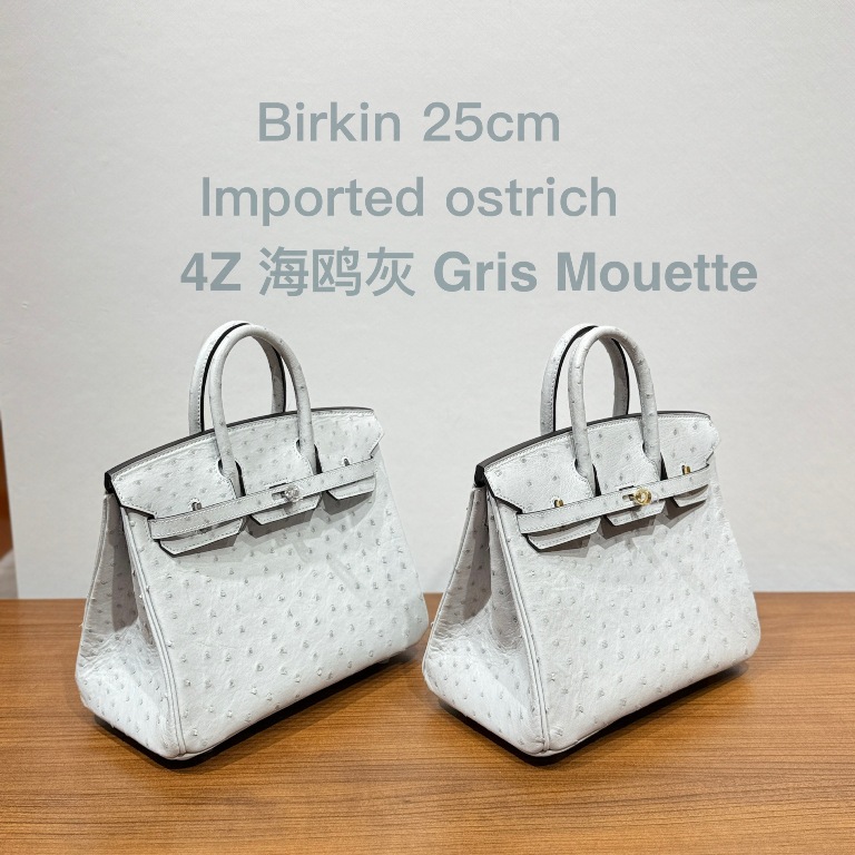 Birkin 25cm-Ostrich Skin(4Z Gris Mouett)-004