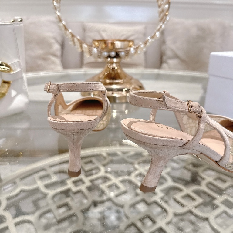 Dior High Heels(w)-033