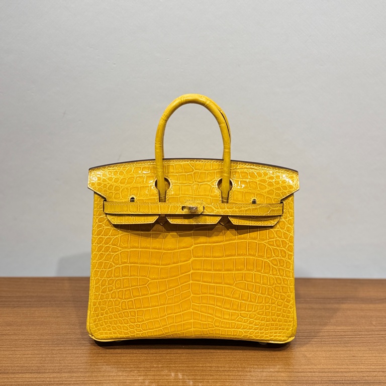 Birkin-Shinny Crocodile Leather(9DJaune Ambre)gold-010