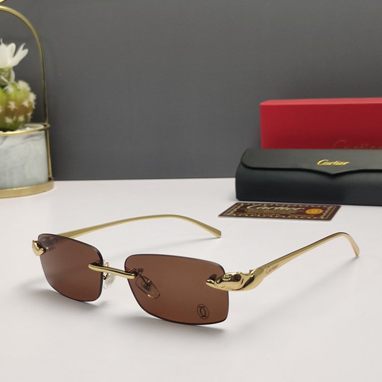 Cartier Sunglasses(1:1)-170