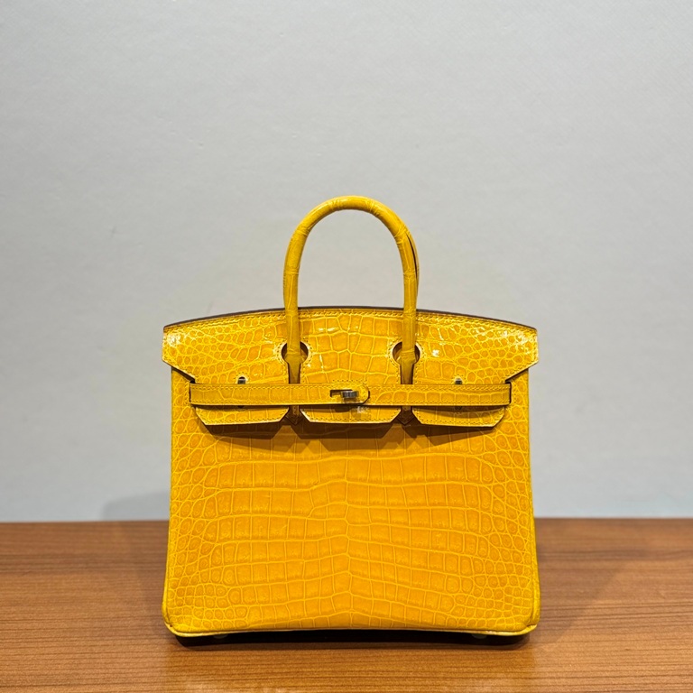 Birkin-Shinny Crocodile Leather(9DJaune Ambre)silvery-009