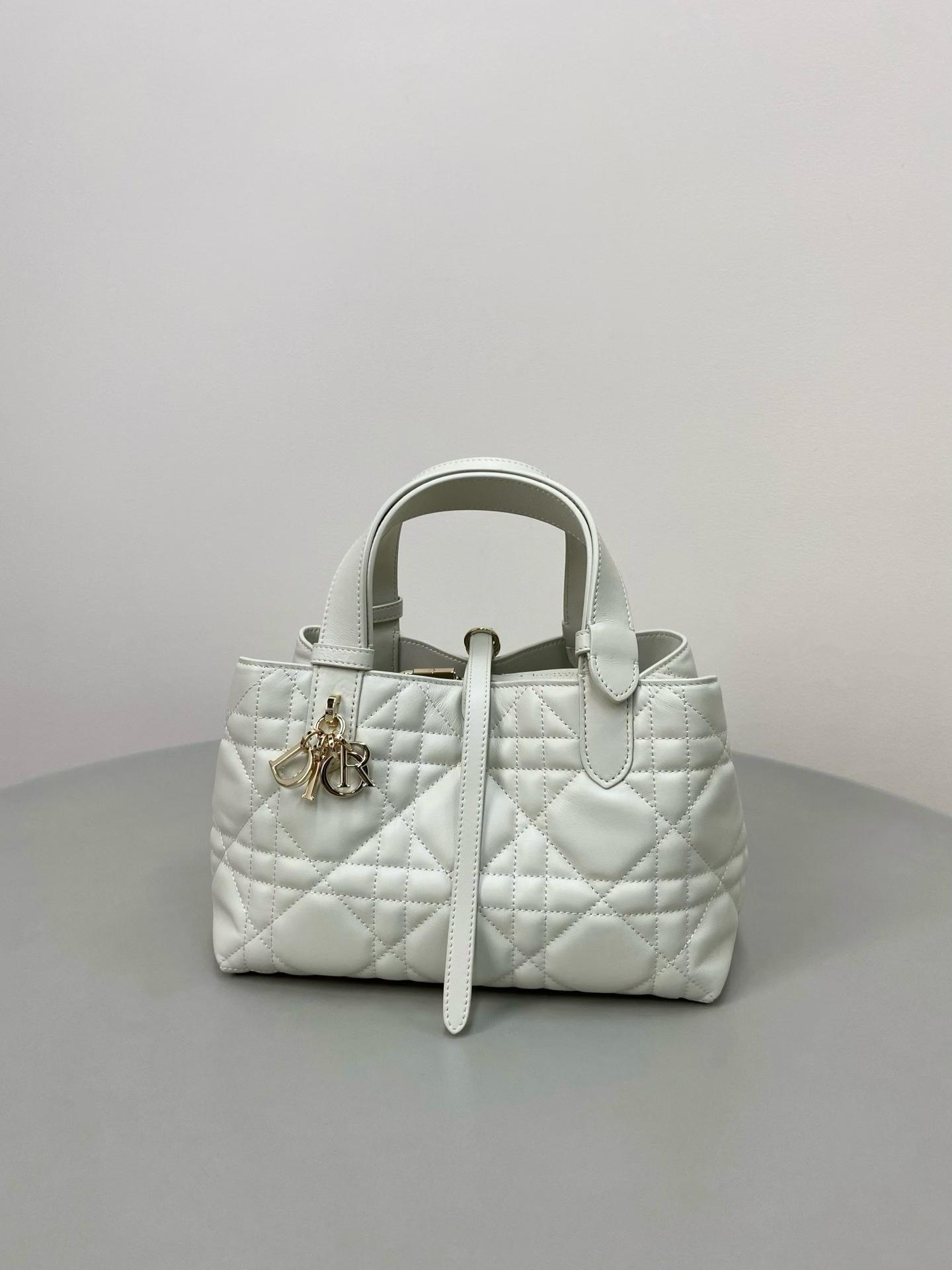 Dior Toujours Handbags-2