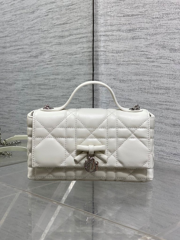 Dior Mini Bag|21cm-002