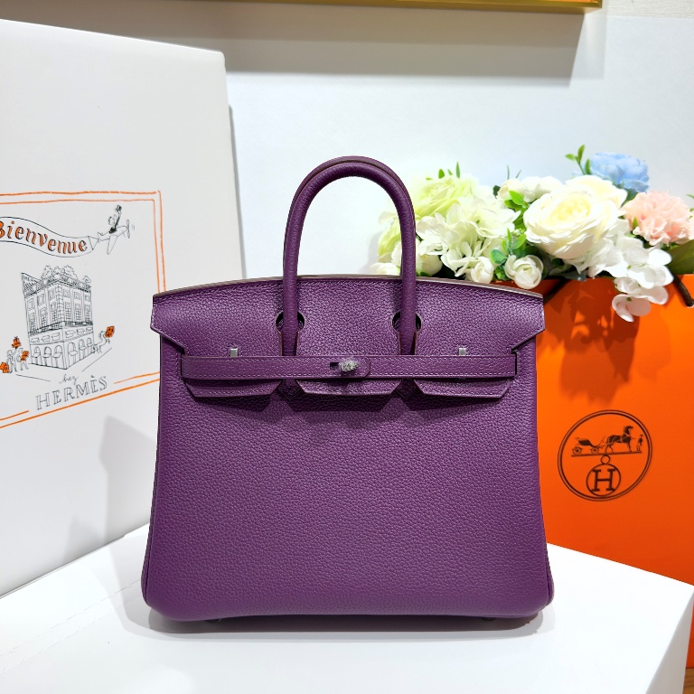 Birkin 25 in Anemone Togo Leather-016