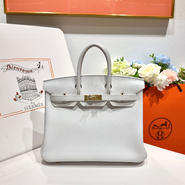 Birkin 25 in Blanc Pur Togo Leather-034