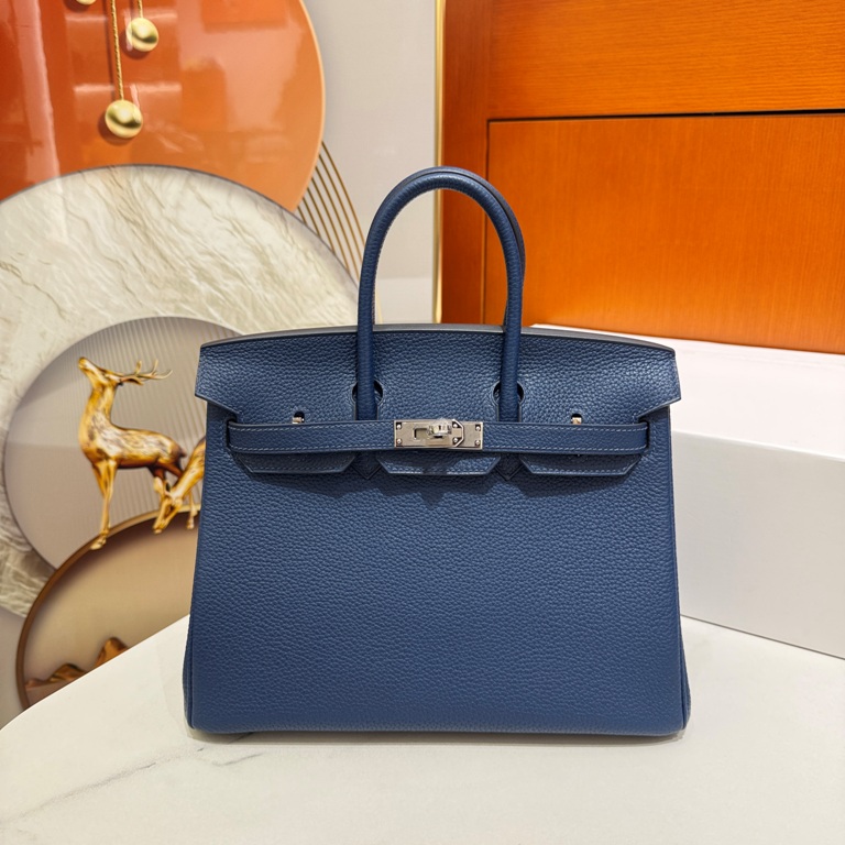 Birkin 25 in Bleu Agate Togo Leather-021
