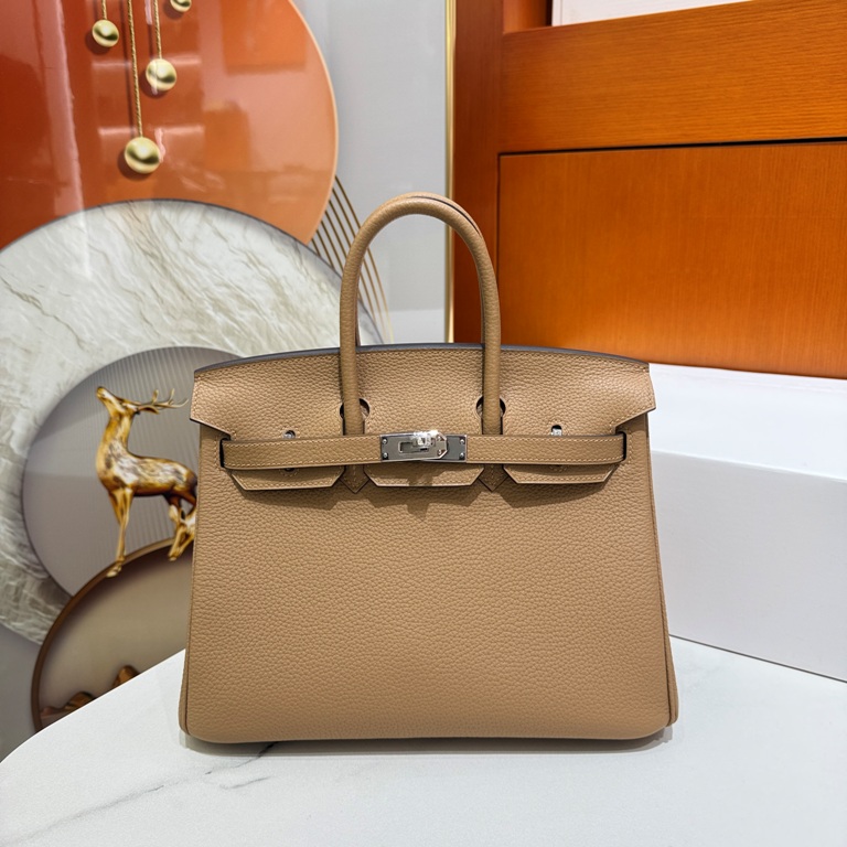 Birkin 25 in Chai Togo Leather-023
