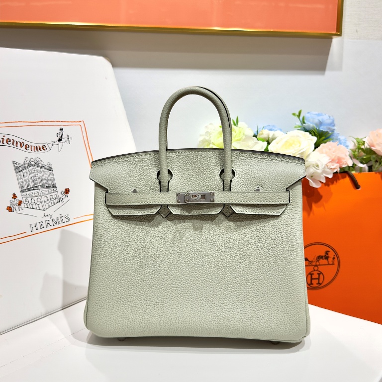 Birkin 25 in Crystal Grey Togo Leather-035