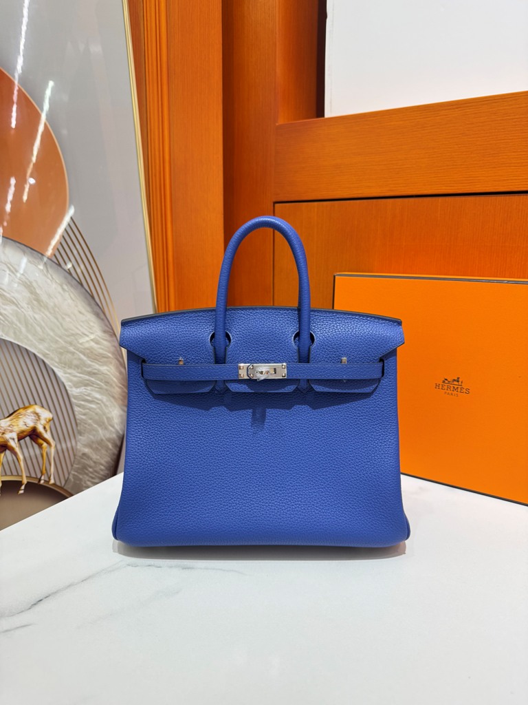 Birkin 25 in Electric Blue Togo Leather-031