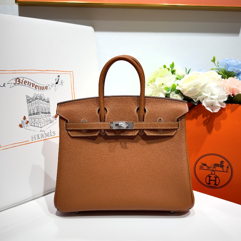 Birkin 25 in Gold Togo Leather-029