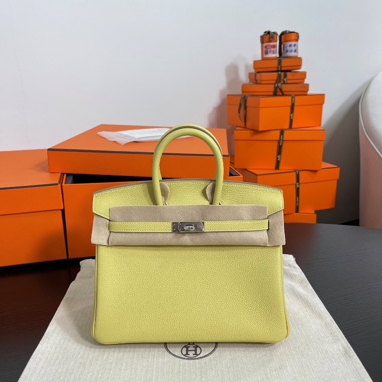 Birkin 25 in Jaune Poussin Togo Leather-011