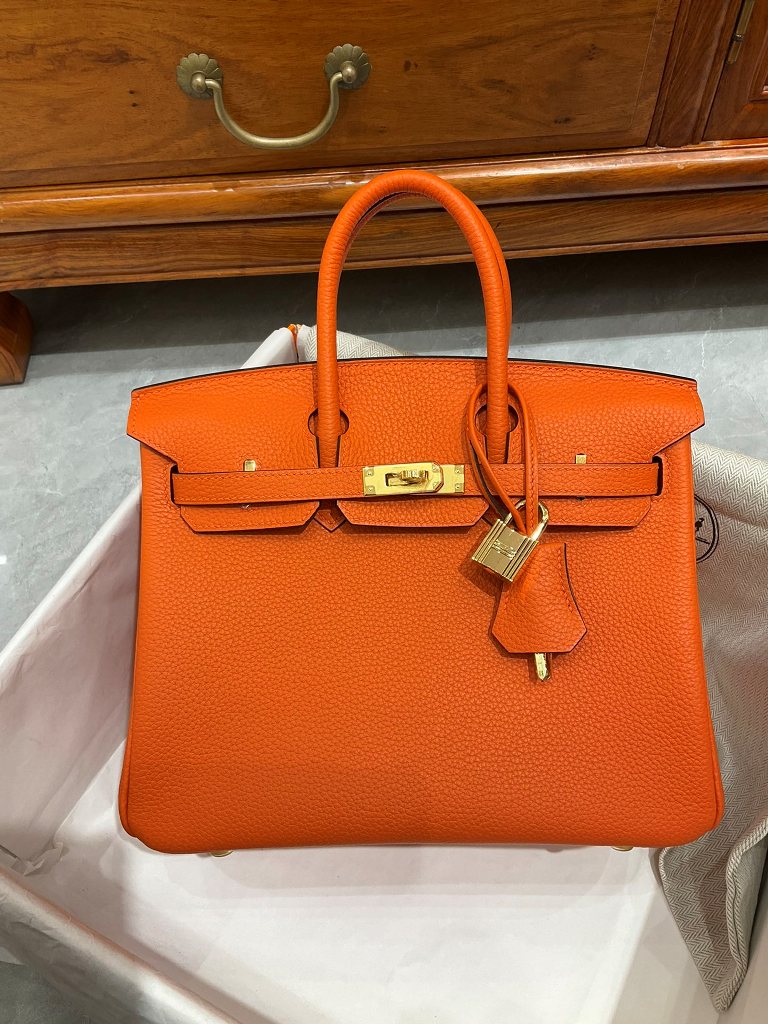 Birkin 25 in Orange Togo Leather-012