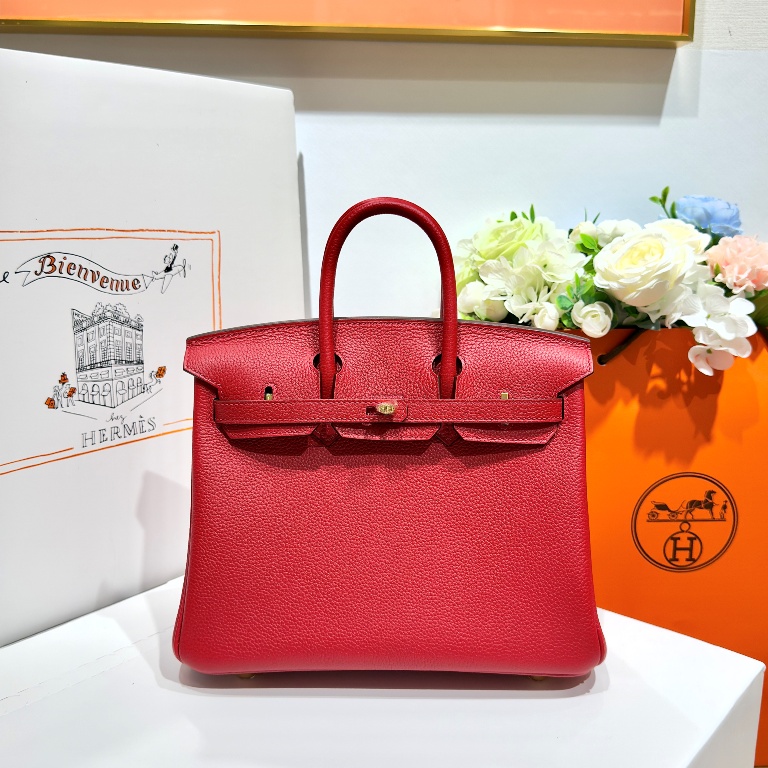 Birkin 25 in Rouge Casaque Togo Leather-015