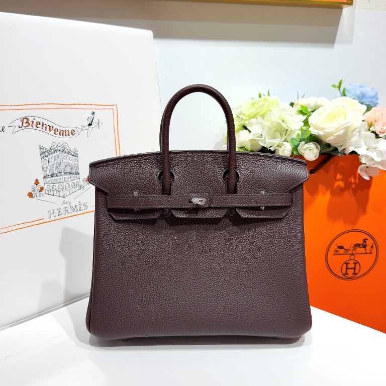 Birkin 25 in Rouge Sellier Togo Leather-019