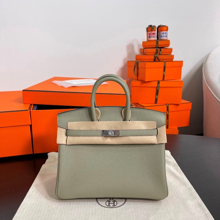 Birkin 25 in Sauge Togo Leather-003