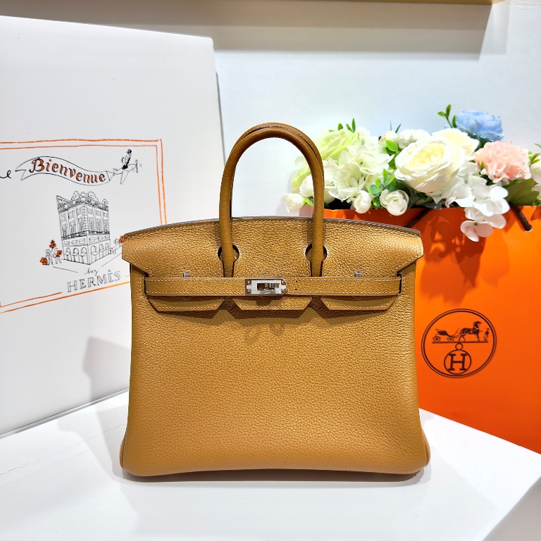 Birkin 25 in Sesame Togo Leather-018