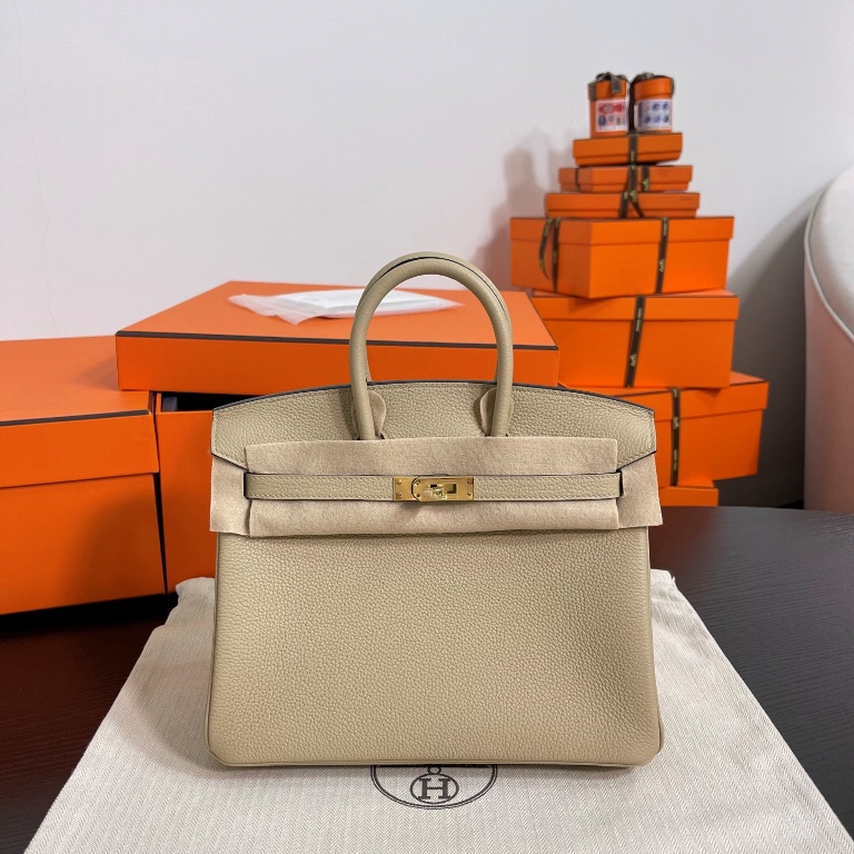 Birkin 25 in Trench Togo Leather-002