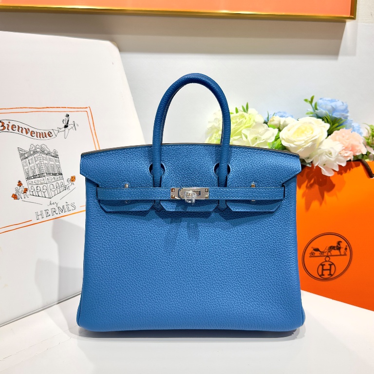 Birkin 25 in Zanzibar Blue Togo Leather-027