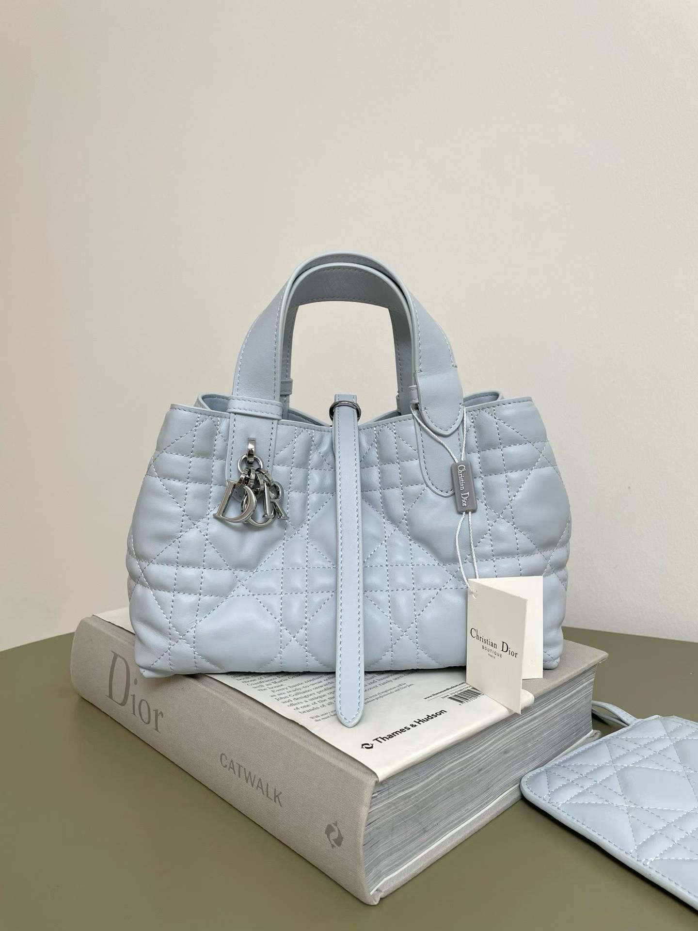 Dior Toujours Bag|23cm-005