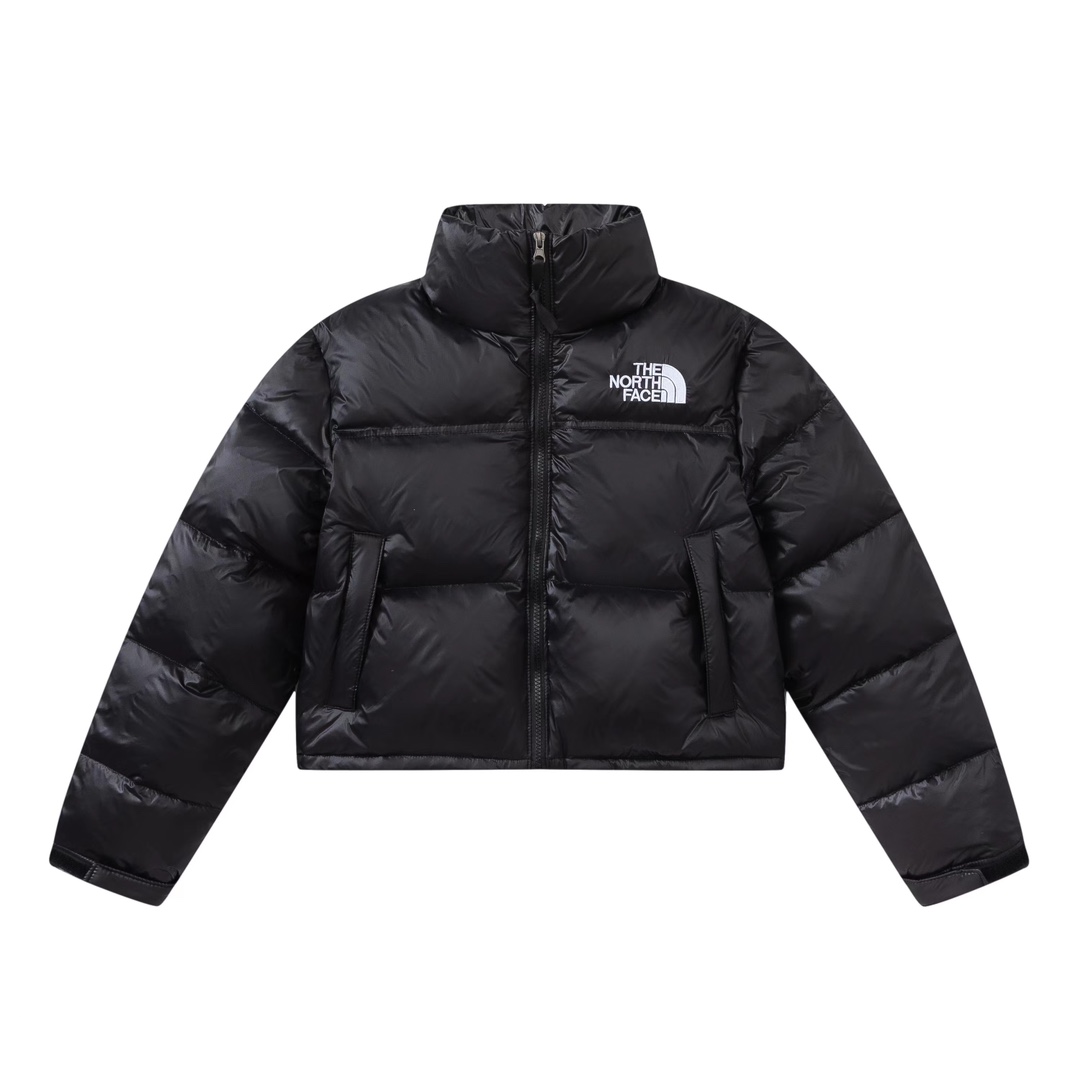 TNF Novelty Nuptse Jacket(w)-001