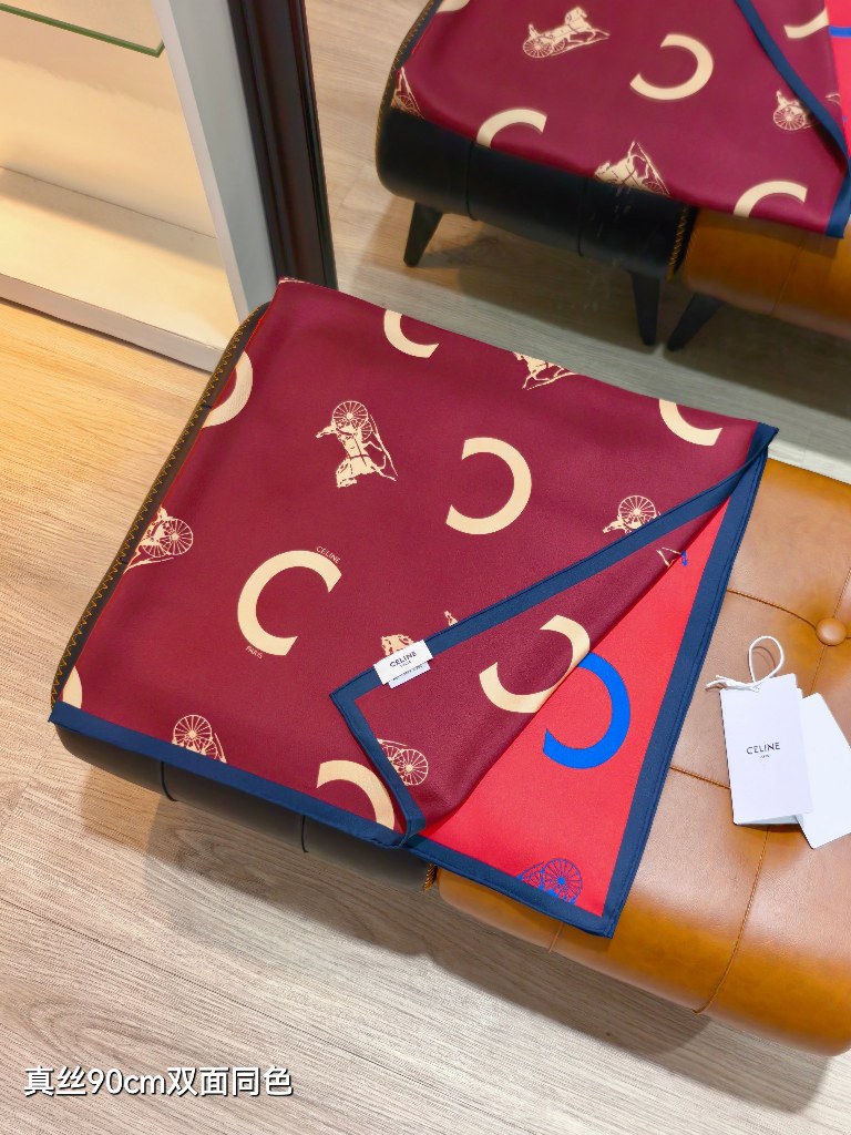 Celine Double-Sided Silk Scarf-057