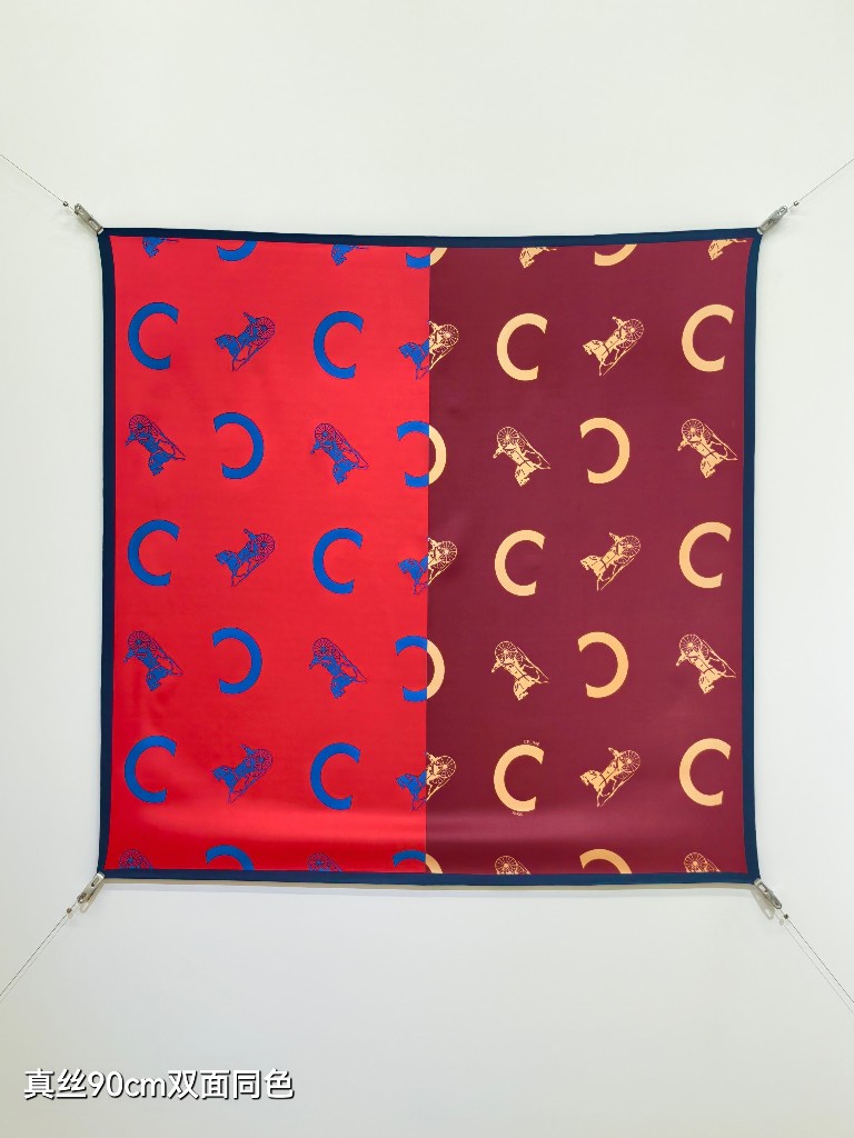 Celine Double-Sided Silk Scarf-055
