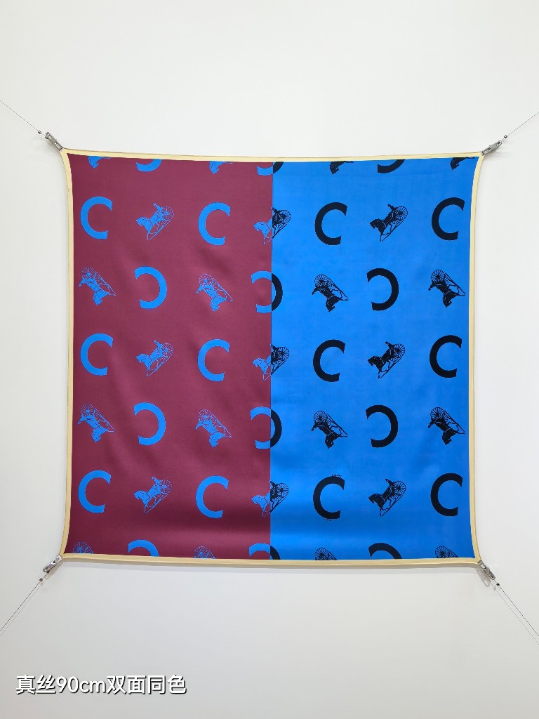 Celine Double-Sided Silk Scarf-054
