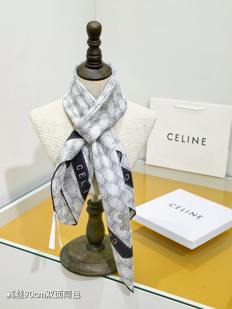 Celine Double-Sided Silk Scarf-049