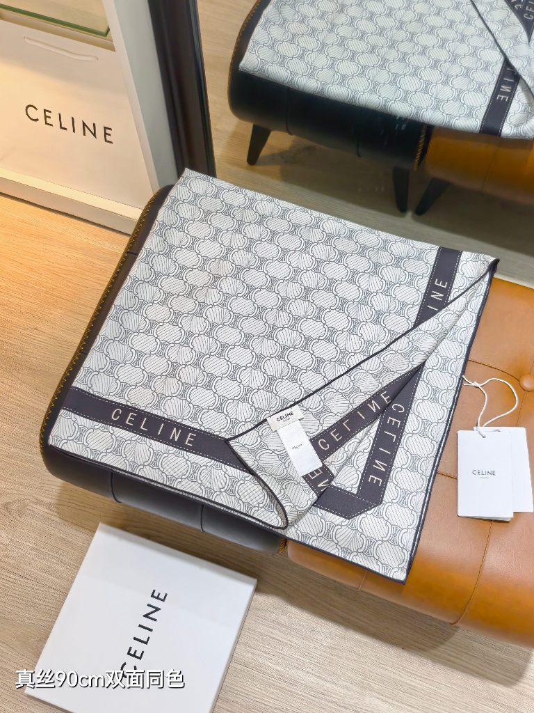 Celine Double-Sided Silk Scarf-048