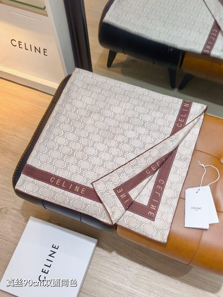 Celine Double-Sided Silk Scarf-046