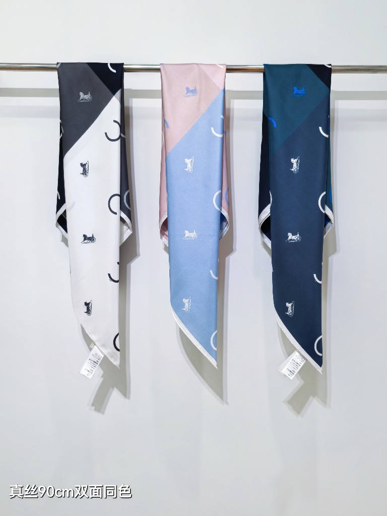 Celine Double-Sided Silk Scarf-019