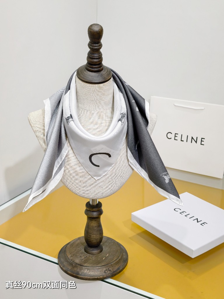 Celine Double-Sided Silk Scarf-018
