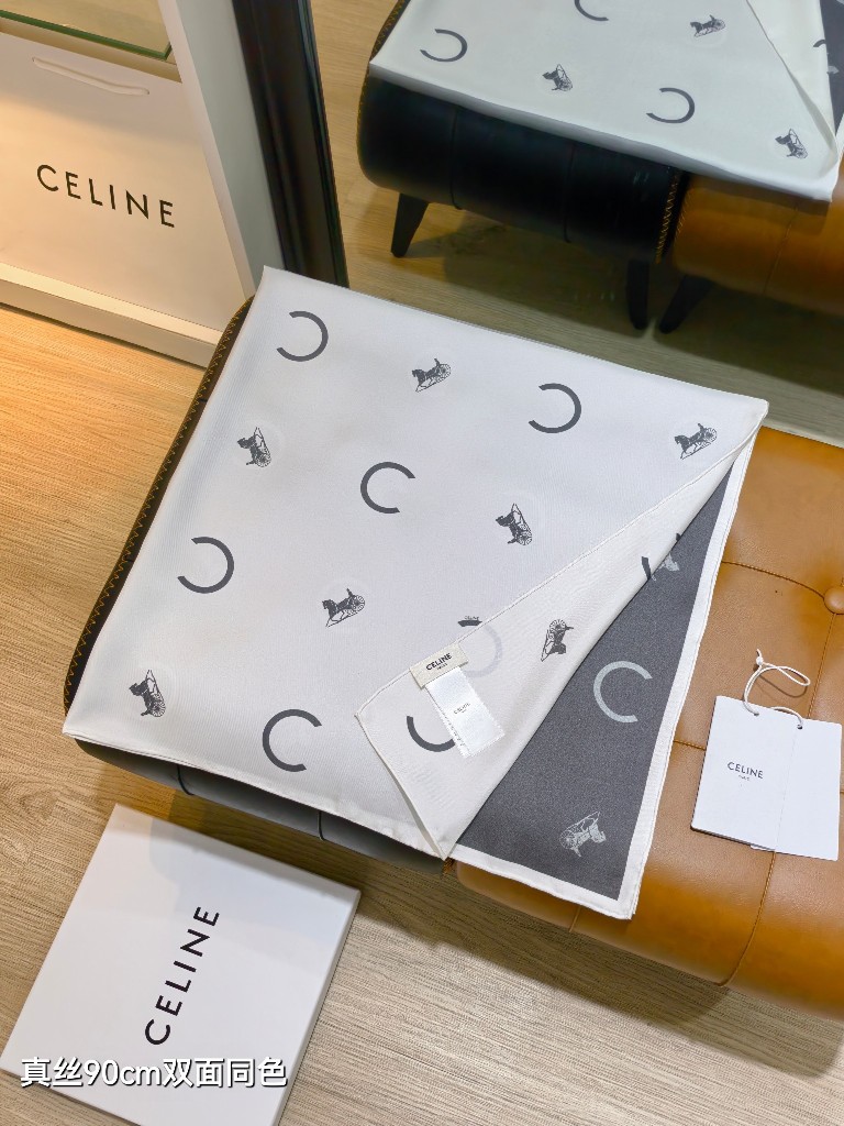 Celine Double-Sided Silk Scarf-017