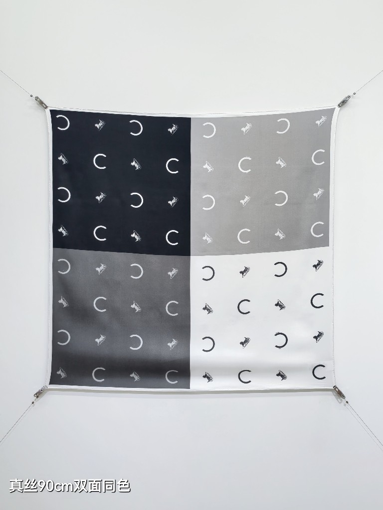 Celine Double-Sided Silk Scarf-016