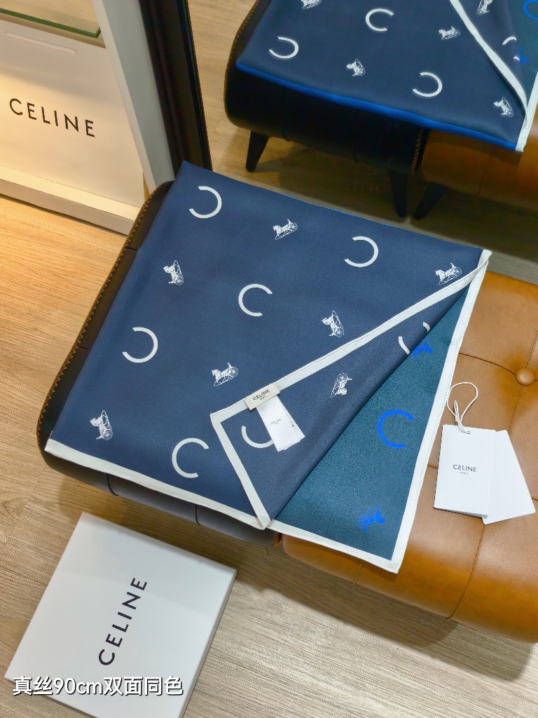 Celine Double-Sided Silk Scarf-012