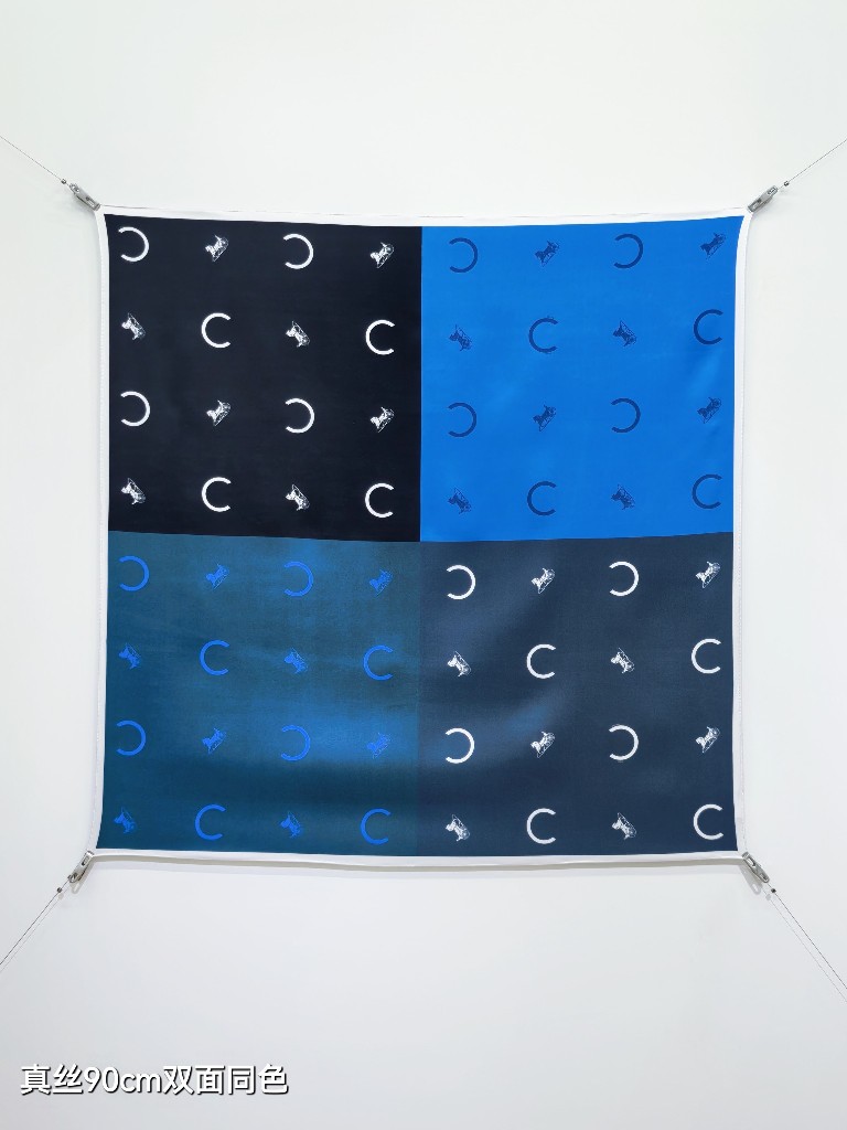 Celine Double-Sided Silk Scarf-011