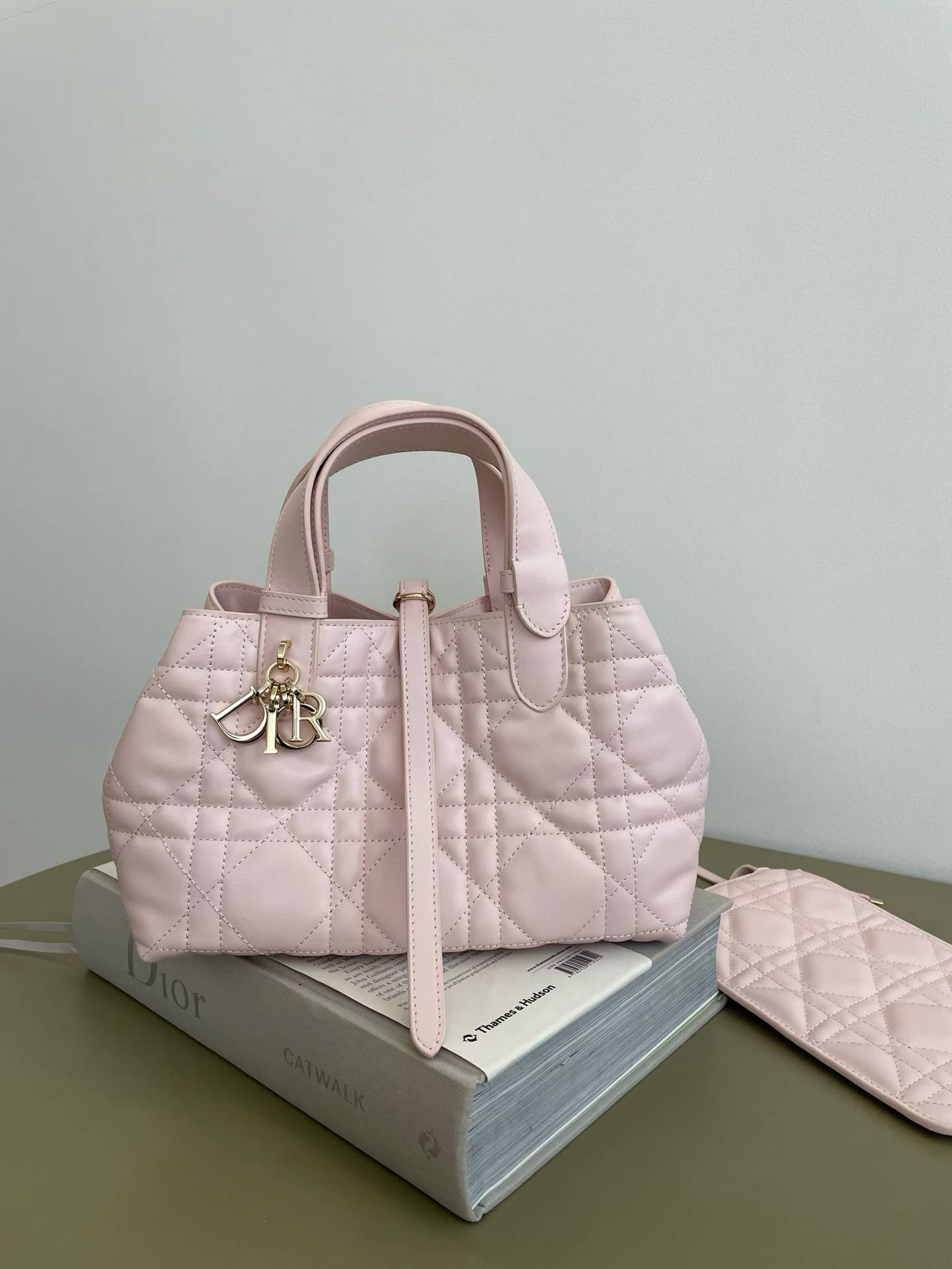 Dior Toujours Bag|23cm-004