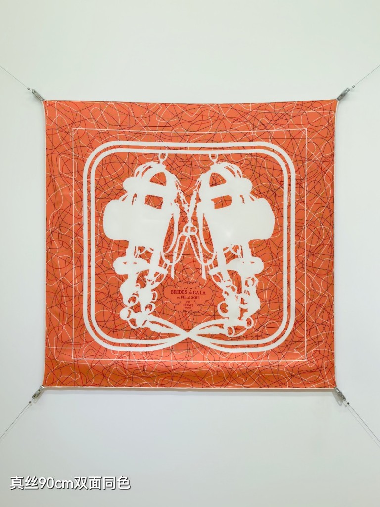 Hermes Double-Sided Silk Scarf-457