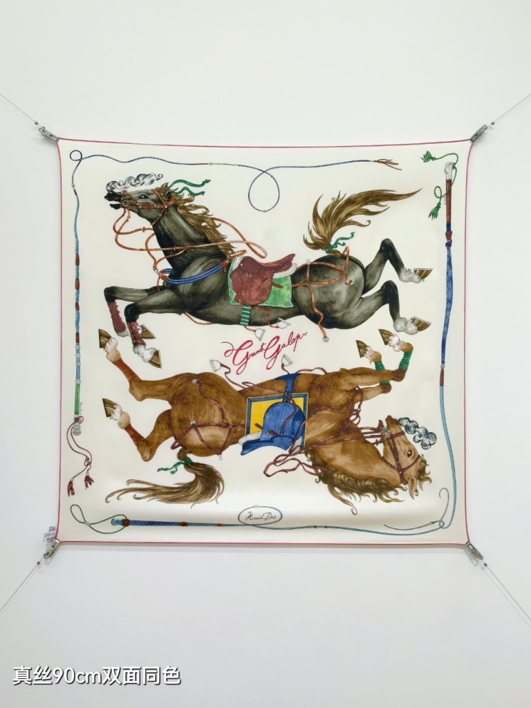 Hermes Double-Sided Silk Scarf-357