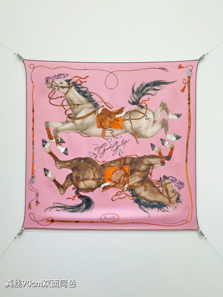 Hermes Double-Sided Silk Scarf-354