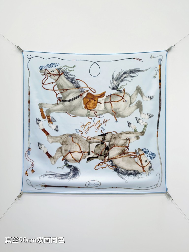 Hermes Double-Sided Silk Scarf-351