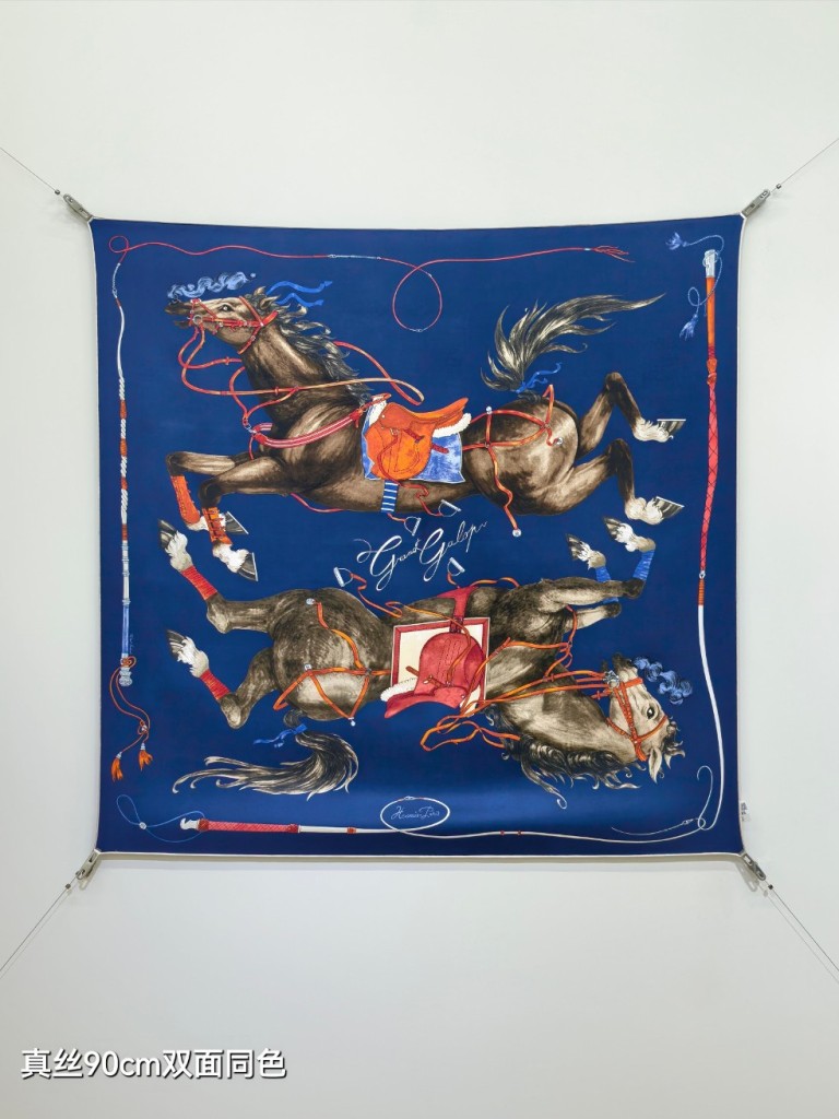 Hermes Double-Sided Silk Scarf-348
