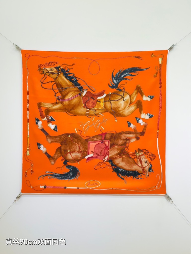 Hermes Double-Sided Silk Scarf-345