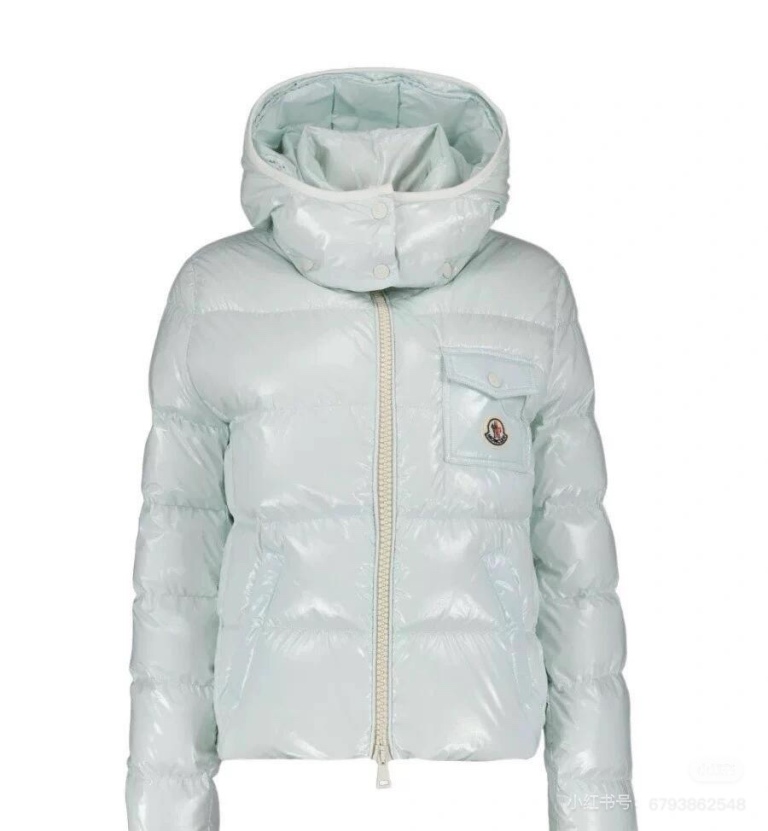 Moncler Andro Down Jacket(w)-E