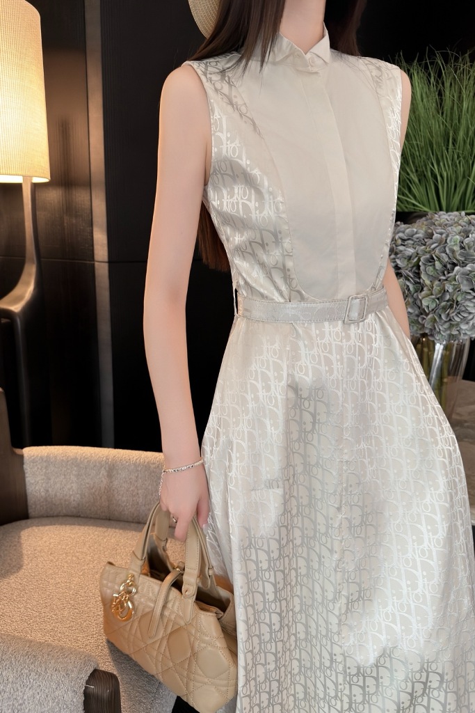 Dior Dress-Q