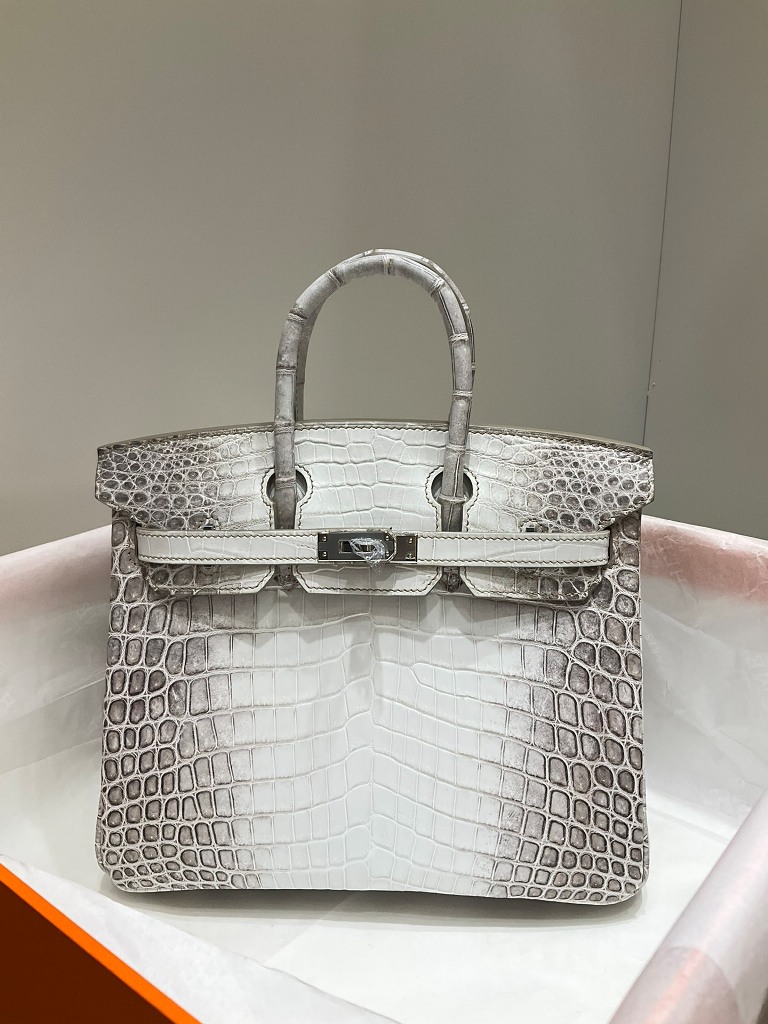 Birkin 25cm-Crocodile Leather Himalaya 01-009