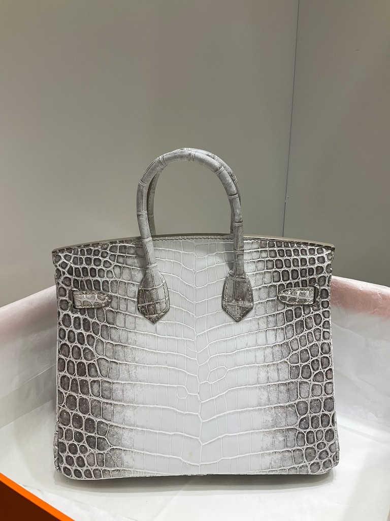 Birkin 25cm-Crocodile Leather Himalaya 01-008