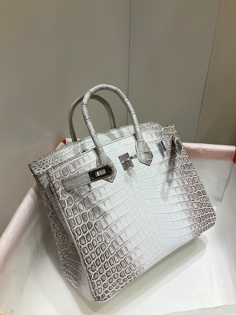 Birkin 25cm-Crocodile Leather Himalaya 01-006
