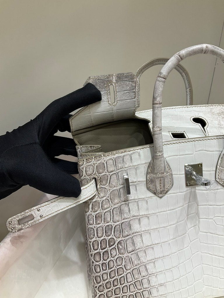 Birkin 25cm-Crocodile Leather Himalaya 01-004