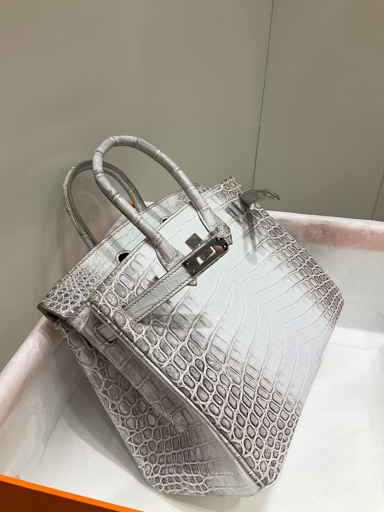 Birkin 25cm-Crocodile Leather Himalaya 01-002